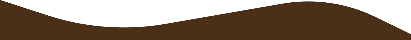 secondsection-top-img